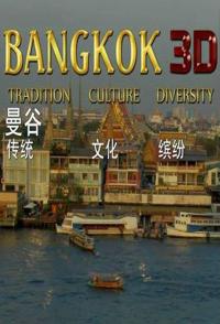 旅行纪录片《曼谷:探索古老宗教下的现代世界 Bangkok Tradition Culture Diversity》下载-零三纪录片资源网