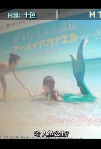 传记纪录片《众筹公司社员 众筹公司社员》下载-零三纪录片资源网