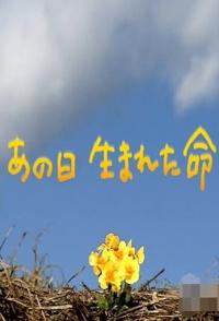 事件，社会生活纪录片《生于3·11 东日本大地震三周年 生于3·11 东日本大地震三周年》下载-零三纪录片资源网