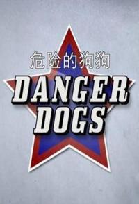 社会生活纪录片《危险的狗狗 Danger Dogs》下载-零三纪录片资源网