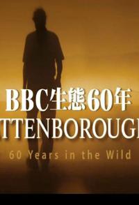 BBC野性自然合集 野性自然合集的海报