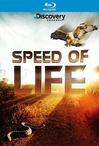 自然纪录片《生命的速度 Speed of Life》下载-零三纪录片资源网