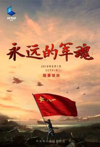 军事纪录片《永远的军魂 永远的军魂》下载-零三纪录片资源网