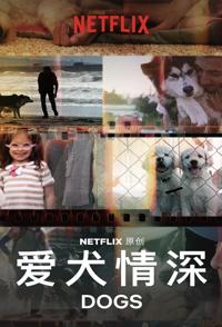 爱犬情深 全2季 Dogs的海报