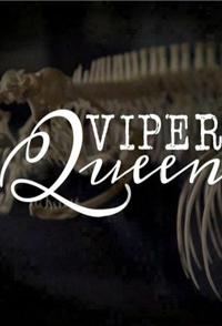 毒蛇女王 Viper Queens的海报
