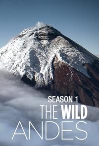 自然纪录片《安第斯山脉  The Wild Andes》下载-零三纪录片资源网