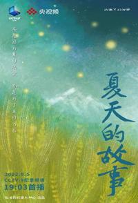 夏天的故事 夏天的故事的海报