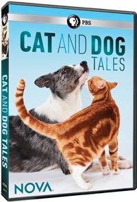 自然纪录片《狗的故事  dog tales》下载-零三纪录片资源网