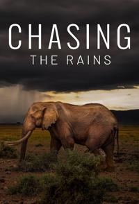 自然纪录片《追逐雨水 Chasing the Rains》下载-零三纪录片资源网