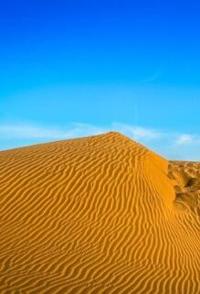 自然纪录片《印度塔尔大沙漠 THAR:India’s Great Desert》下载-零三纪录片资源网