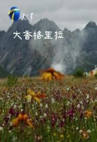 自然,旅行纪录片《大香格里拉 大香格里拉》下载-零三纪录片资源网