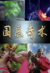探索纪录片《国医奇术 国医奇术》下载-零三纪录片资源网