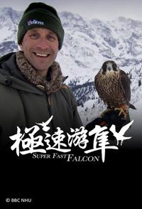 极速游隼 Super Fast Falcon的海报