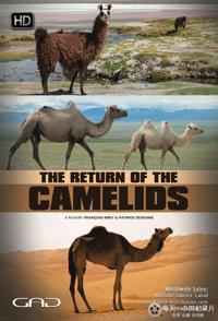 自然纪录片《骆驼一族的回归 The Return Of The Camelids》下载-零三纪录片资源网