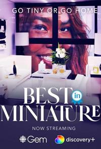 艺术纪录片《最佳微缩模型  第1-2季全18集 Best in Miniature season 1-2》下载-零三纪录片资源网