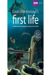 探索纪录片《生命足跡 First Life》下载-零三纪录片资源网