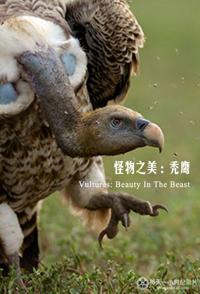 自然纪录片《秃鹫：野兽之美 Vultures Beauty in the Beast》下载-零三纪录片资源网