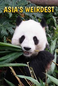 自然纪录片《亚洲最奇异 Asia's Weirdest》下载-零三纪录片资源网