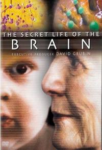 科学纪录片《有脑有生命 The Secret Life of the Brain》下载-零三纪录片资源网