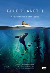 自然纪录片《蓝色星球 2 Blue Planet II 全7集》下载-零三纪录片资源网