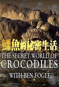 自然纪录片《鳄鱼的秘密生活 The Secret Life of Crocodiles With Ben Fogle》下载-零三纪录片资源网