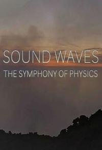 科学纪录片《声波：物理交响曲 Sound Waves: The Symphony of Physics》下载-零三纪录片资源网