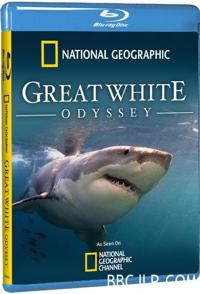 自然纪录片《大白鲨的长途冒险旅程 Great White Odyssey》下载-零三纪录片资源网