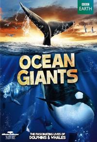 自然纪录片《海洋巨人 Ocean Giants》下载-零三纪录片资源网