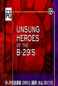 军事纪录片《B-29无名英雄 Unsung Heroes of B-29s》下载-零三纪录片资源网