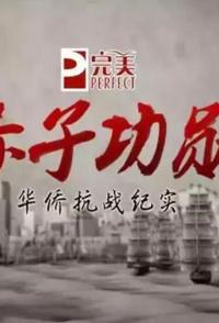 军事，历史纪录片《赤子功勋 华侨抗战纪实》下载-零三纪录片资源网