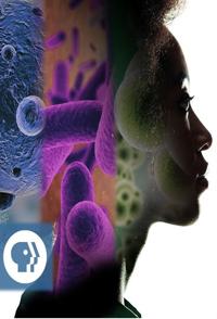 奇迹:人体内的生物 What's Living in You的海报