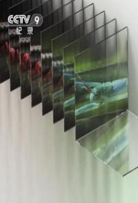 自然纪录片《探秘微型动物世界 探秘微型动物世界》下载-零三纪录片资源网