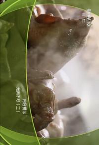 美食纪录片《美味假期·无肉不欢 美味假期·无肉不欢》下载-零三纪录片资源网