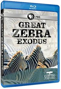 自然纪录片《斑马大撤退 Great Zebra Exodus》下载-零三纪录片资源网