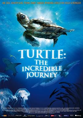 自然纪录片《海龟奇妙之旅 Turtle: The Incredible Journey》下载-零三纪录片资源网