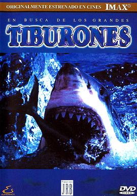 自然纪录片《寻鲨记 Search for the Great Sharks》下载-零三纪录片资源网