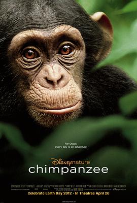 自然纪录片《黑猩猩 Chimpanzee》下载-零三纪录片资源网