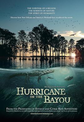 自然，社会生活纪录片《海湾的飓风 Hurricane on the Bayou》下载-零三纪录片资源网