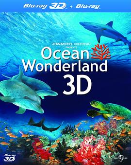 自然纪录片《神奇的海洋 Amazing Ocean 3D》下载-零三纪录片资源网