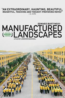 社会生活纪录片《人造风景 Manufactured Landscapes》下载-零三纪录片资源网