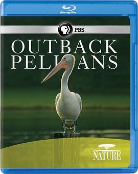 自然纪录片《内地鹈鹕 Nature: Outback Pelicans》下载-零三纪录片资源网