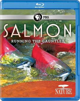 鲑鱼:历尽艰辛 Salmon: Running the Gauntlet的海报