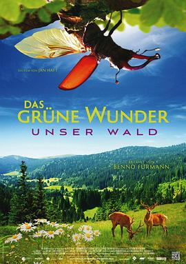 自然纪录片《大自然之舞 Das grüne Wunder - Unser Wald》下载-零三纪录片资源网