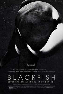 社会生活纪录片《黑鲸 Blackfish》下载-零三纪录片资源网