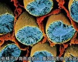 探索纪录片《超级新人类 Superhuman》下载-零三纪录片资源网