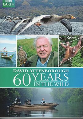 自然纪录片《大卫爱登堡野外探索60年 Attenborough: 60 Years in the Wild》下载-零三纪录片资源网