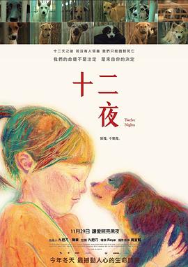 社会生活纪录片《十二夜》下载-零三纪录片资源网