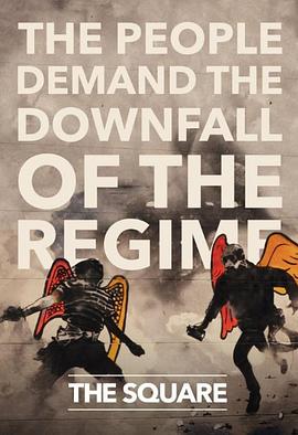 社会生活纪录片《埃及广场 Al midan》下载-零三纪录片资源网