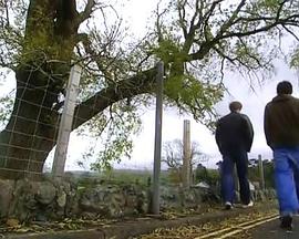 真人秀&舞台纪录片《梅林与亚瑟的前世今生 The Real Merlin & Arthur》下载-零三纪录片资源网