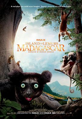 自然纪录片《马达加斯加：狐猴之岛 Island of Lemurs: Madagascar》下载-零三纪录片资源网